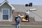 Kippenduffskylights-2.jpg; ?>